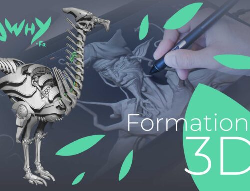 Enseignement Artistique et 3D