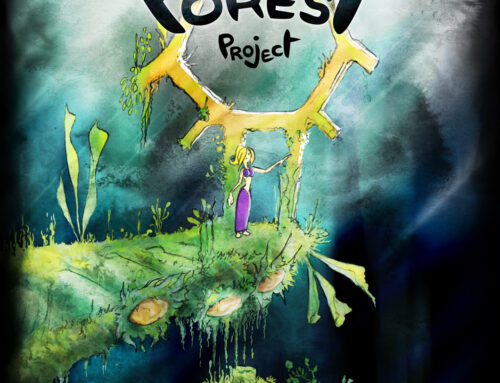 STREAM FOREST